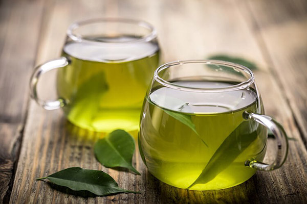 cách uống, nấu lá trà xanh tươi uống có giảm cân không