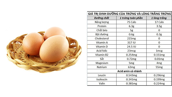 1 lòng trắng trứng gà bao nhiêu protein