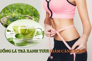 Uống lá trà xanh tươi có giảm cân không? Công dụng làm đẹp bất ngờ từ nước trà xanh